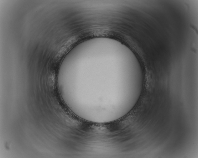 X0000103400113200809261629