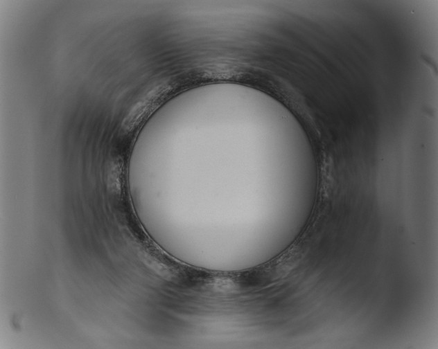 X0000103400114200809261629