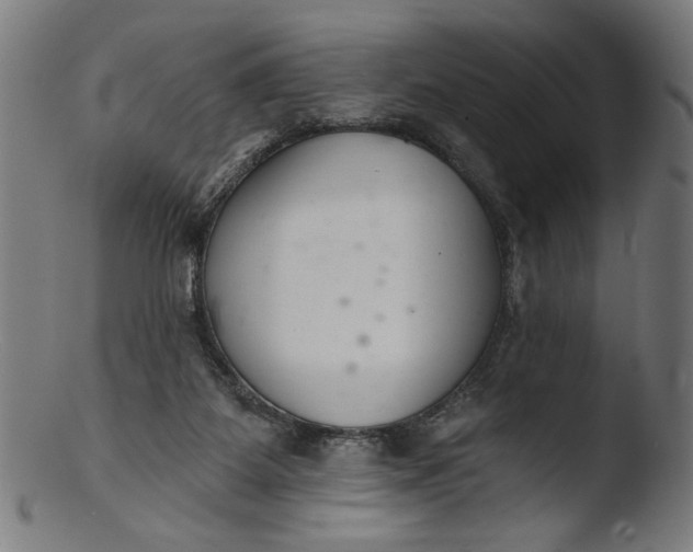 X0000103400115200809261629