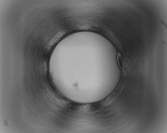 X0000103400116200809261629