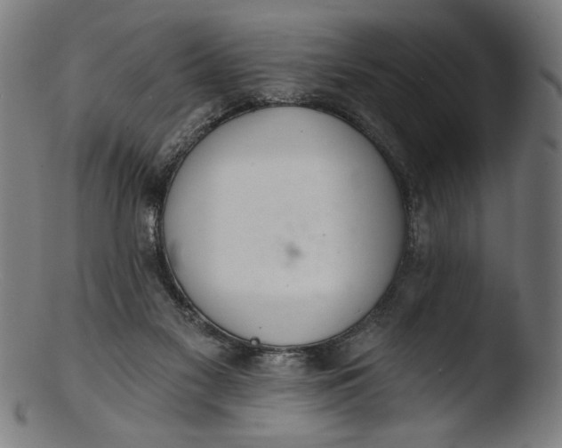 X0000103400117200809261629