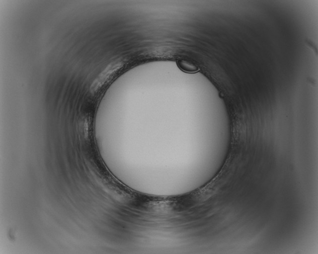 X0000103400120200809261629