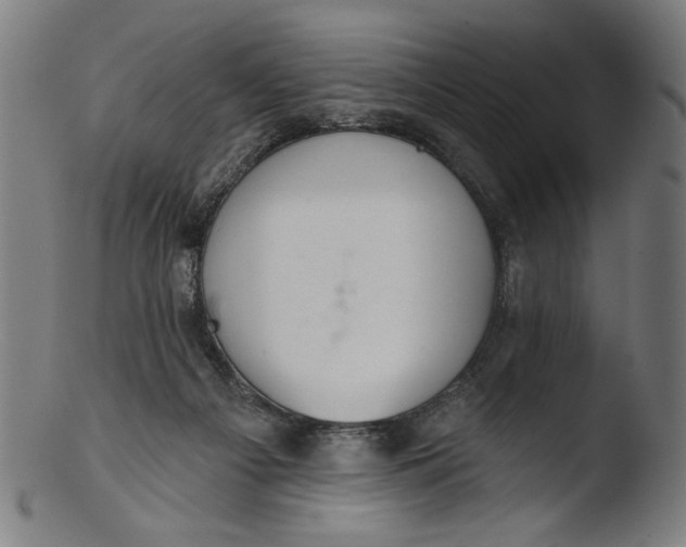 X0000103400121200809261629