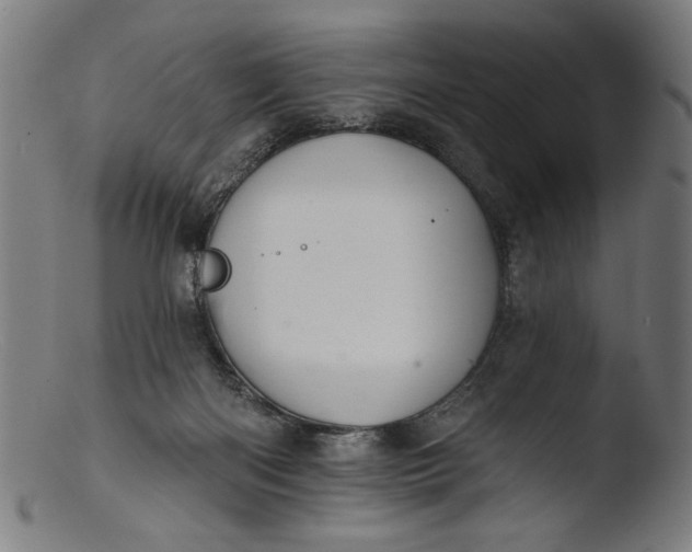 X0000103400122200809261629