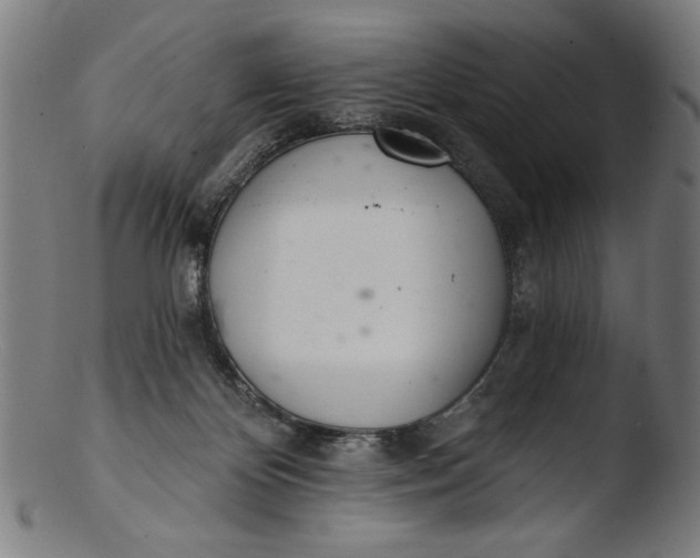 X0000103400124200809261629