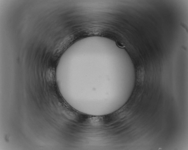 X0000103400126200809261629