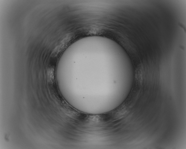 X0000103400127200809261629