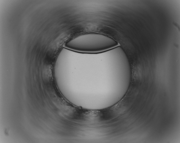 X0000103400128200809261629