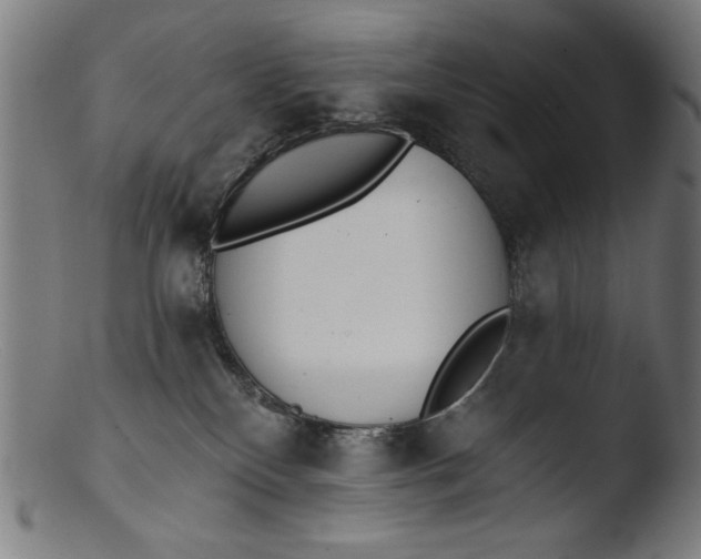 X0000103400136200809261629