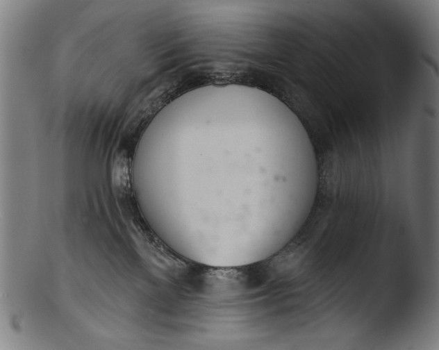 X0000103400137200809261629