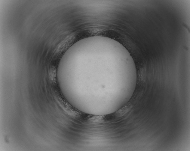 X0000103400138200809261629