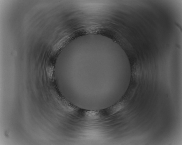 X0000103400139200809261628