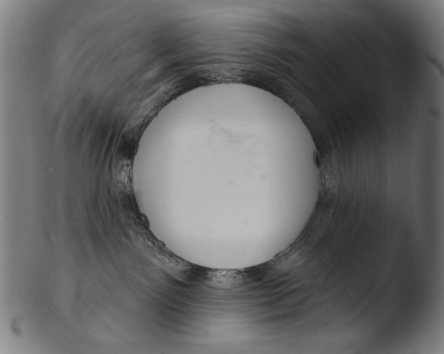 X0000103400141200809261628