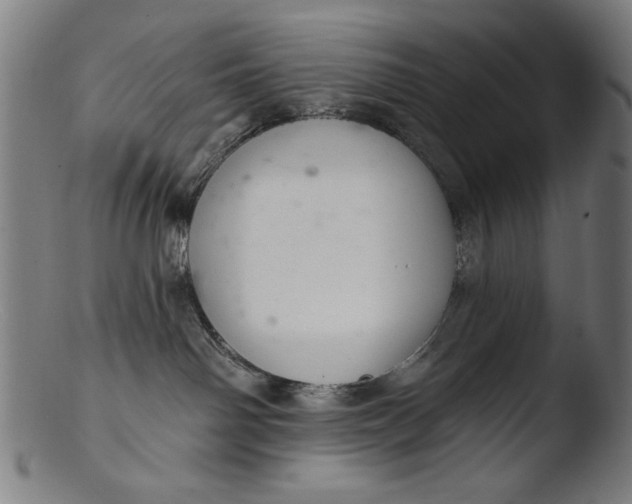 X0000103400142200809261628