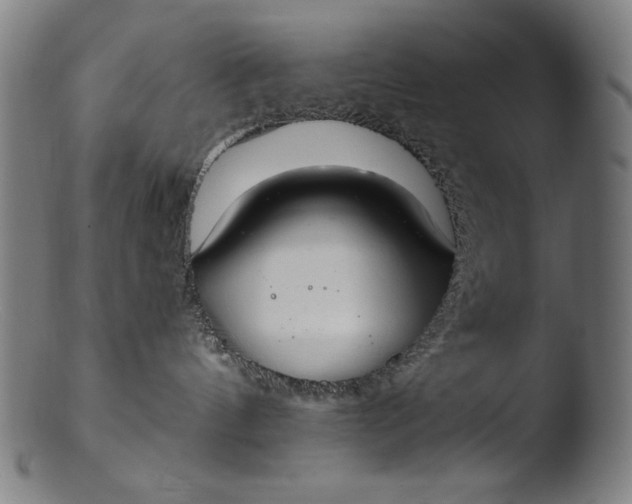 X0000103400144200809261628