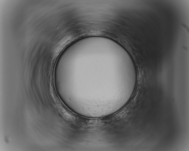 X0000103400145200809261628