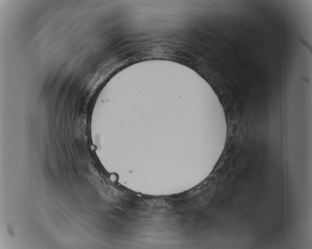 X0000103400146200809261628