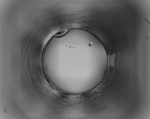 X0000103400147200809261628