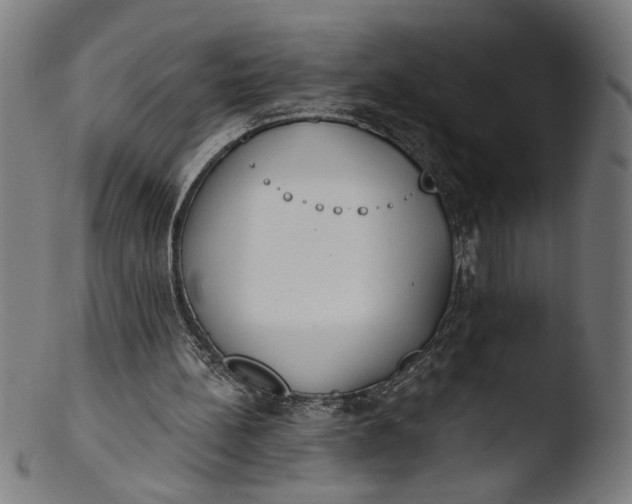 X0000103400148200809261628