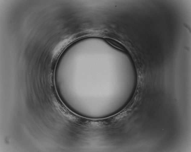 X0000103400149200809261628