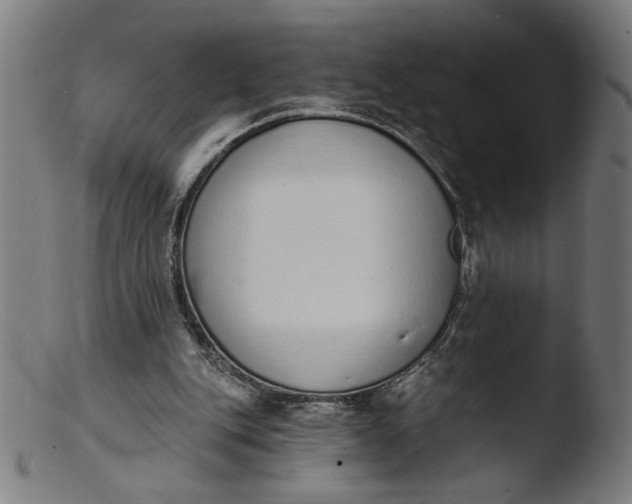 X0000103400151200809261628