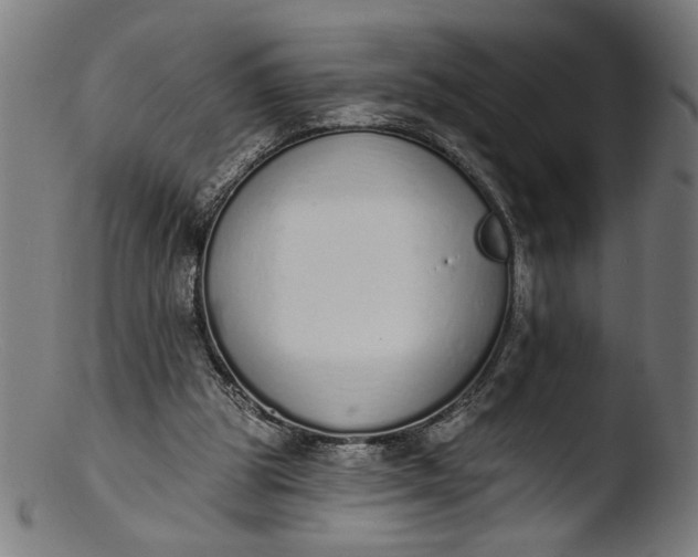 X0000103400153200809261628