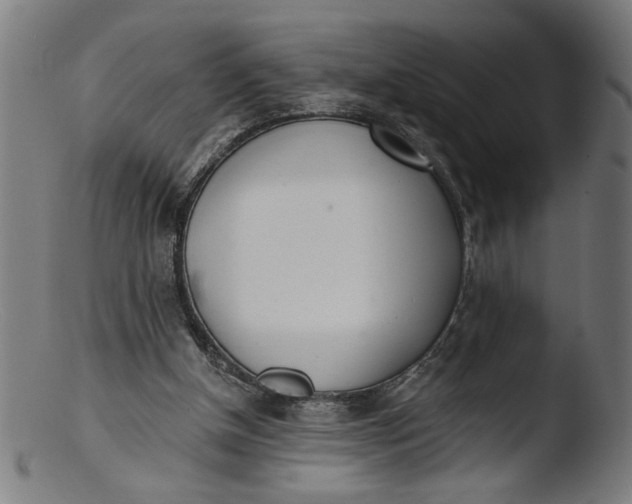 X0000103400154200809261628