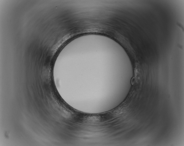 X0000103400156200809261628