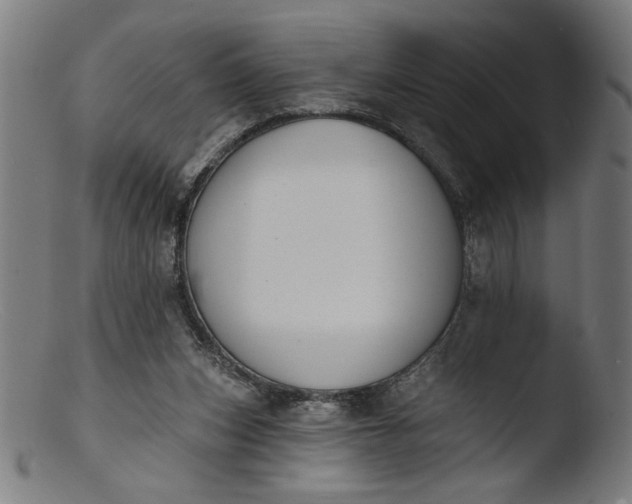 X0000103400159200809261628