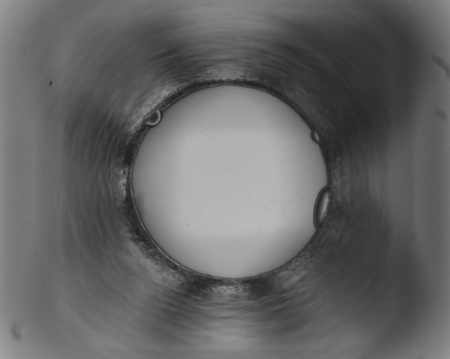 X0000103400160200809261628