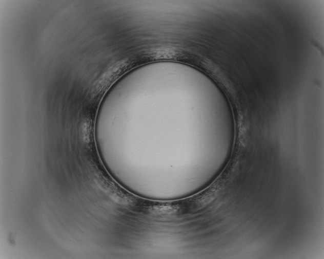 X0000103400161200809261628