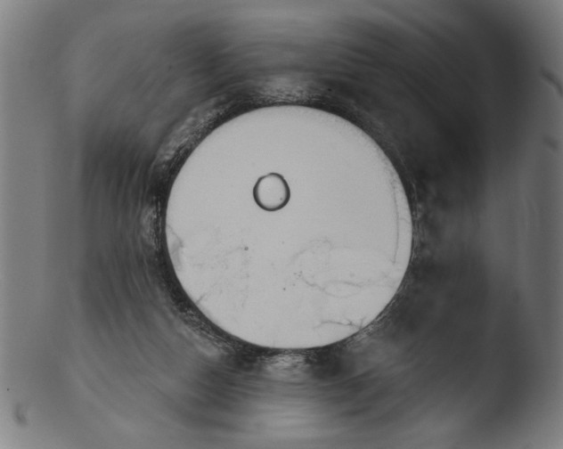 X0000103400162200809261628