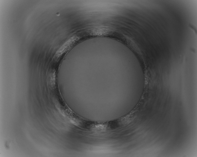 X0000103400163200809261628