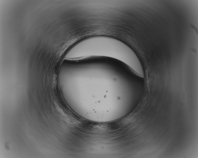 X0000103400164200809261628