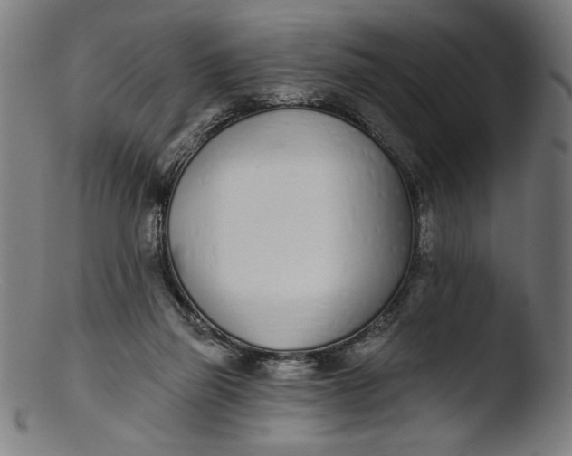 X0000103400165200809261628