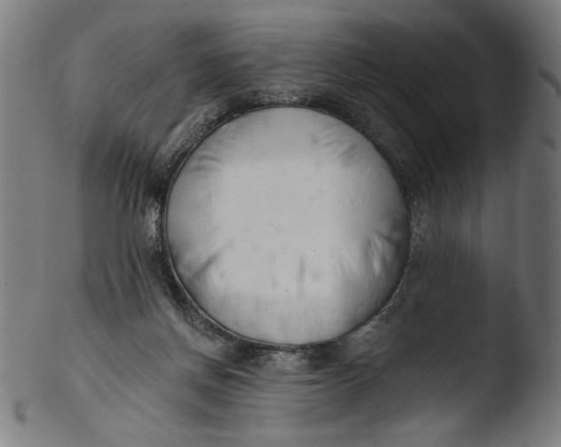 X0000103400166200809261628