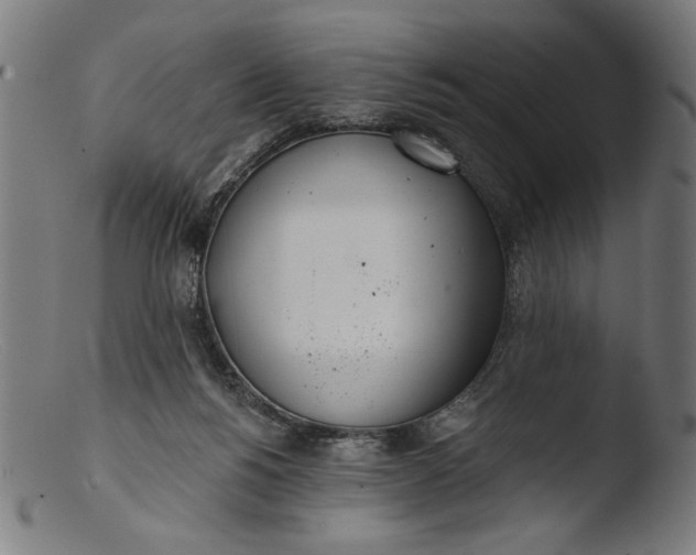 X0000103400168200809261628