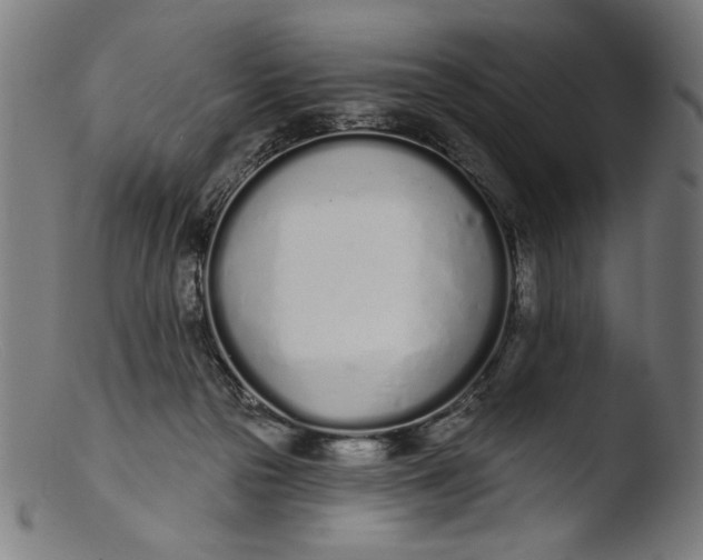 X0000103400169200809261628