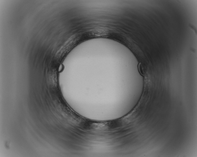 X0000103400170200809261628