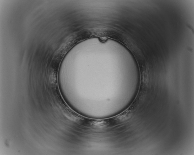 X0000103400173200809261628