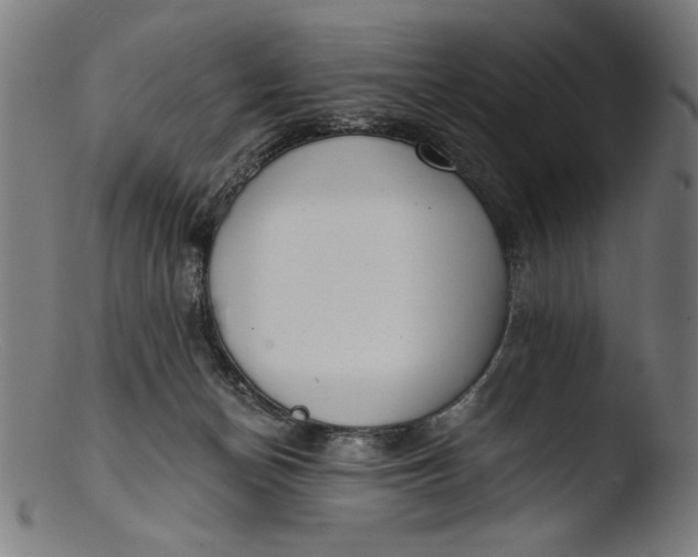 X0000103400174200809261628