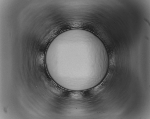 X0000103400175200809261628