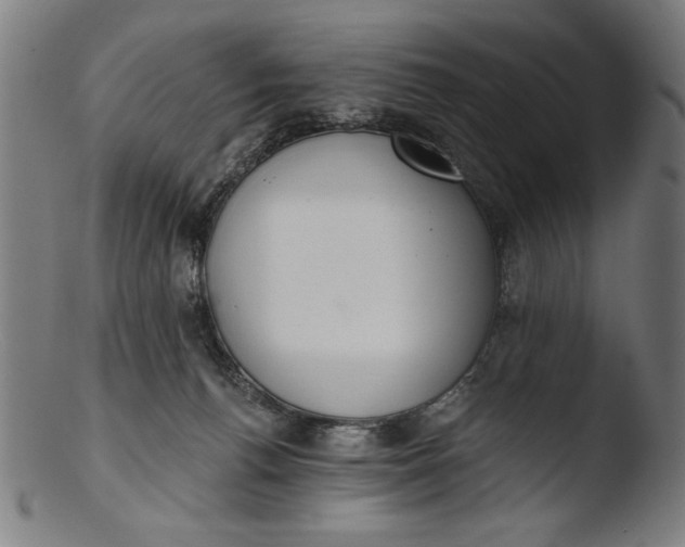 X0000103400176200809261628