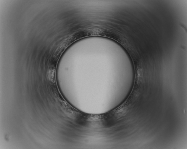 X0000103400177200809261628