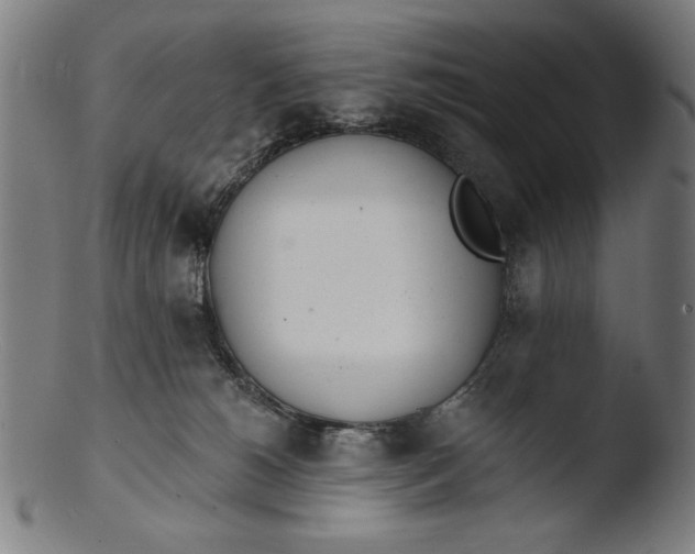 X0000103400180200809261628