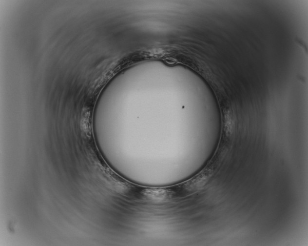 X0000103400181200809261628