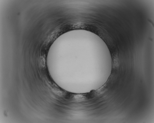 X0000103400183200809261628