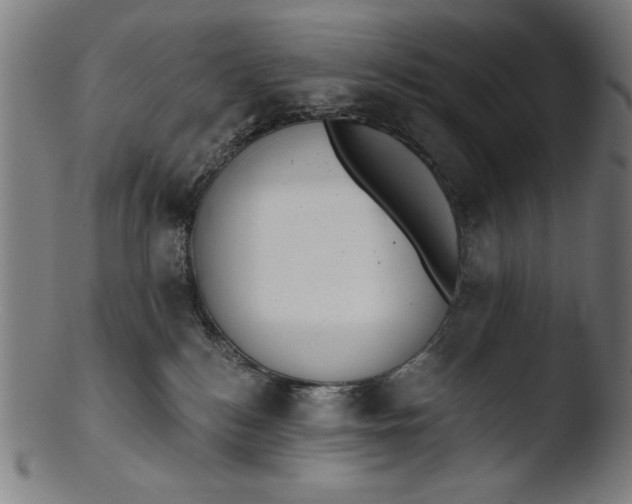 X0000103400184200809261628