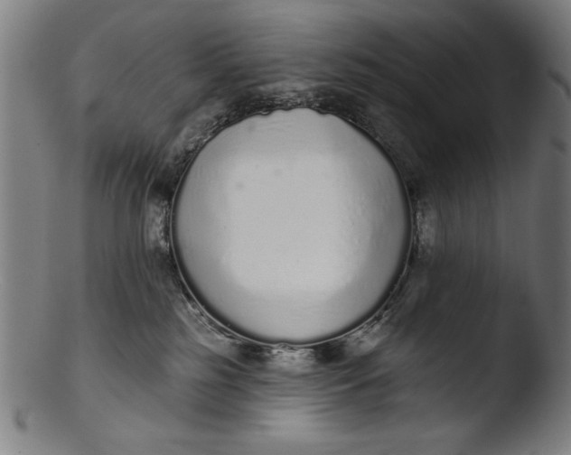 X0000103400185200809261628