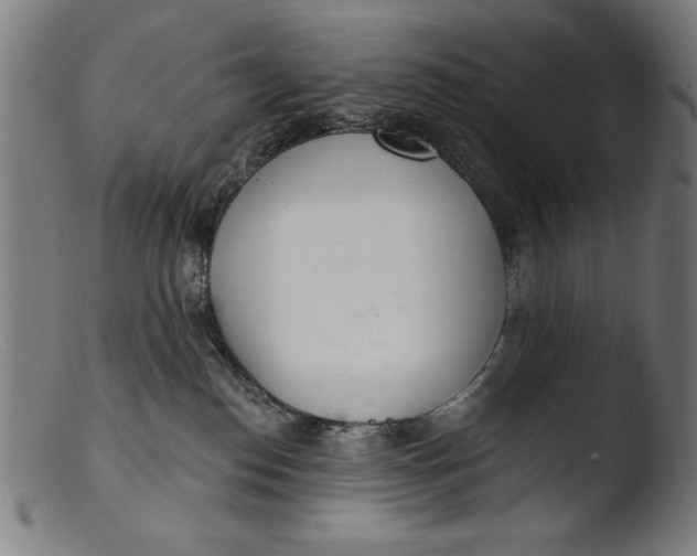 X0000103400186200809261628